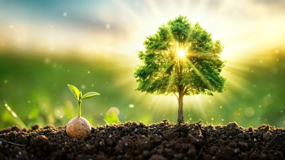 The Nature of the Resurrection Body